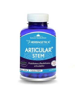 Articular Stem 120 cps - Herbagetica